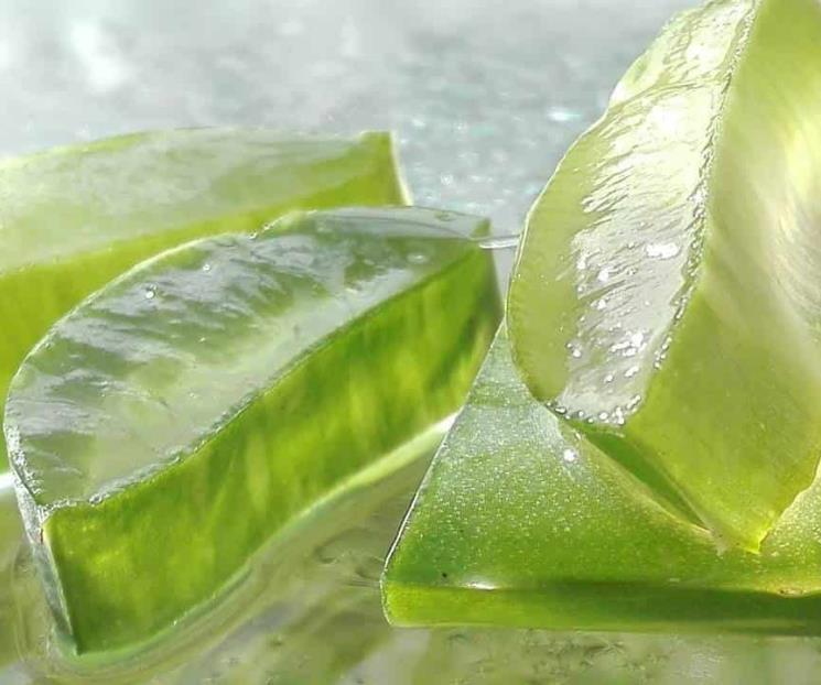 Los beneficios del aloe vera para eliminar las bolsas de los ojos