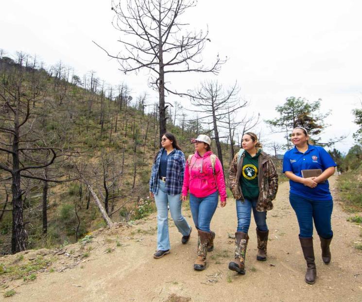 Combina Bosque Escuela estudio y cuidado de flora y fauna regional