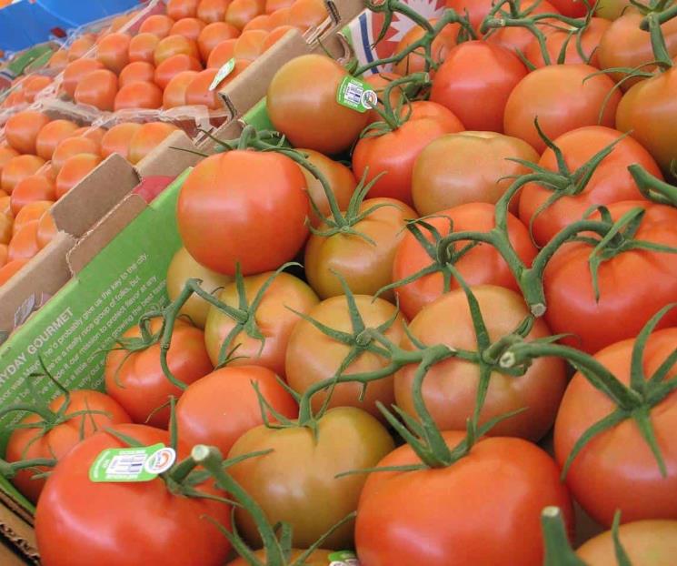 Jitomate hasta en 70 pesos el kilo en CDMX y Zona Metropolitana