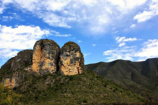 Buscan fortalecer investigación ambiental