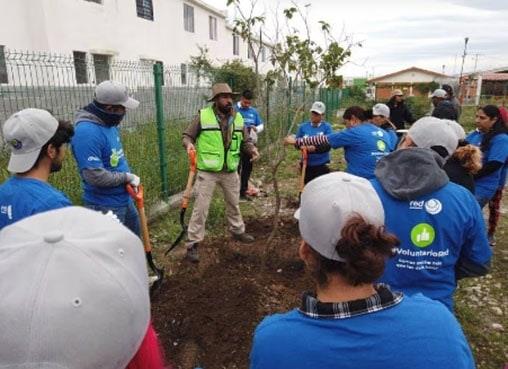 Llevan reforestación a escuelas Llevan reforestación a escuelas