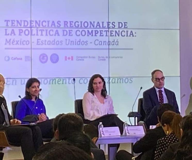 Necesaria autonomía de órganos de competencia: comisionados Necesaria autonomía de órganos de competencia: comisionados