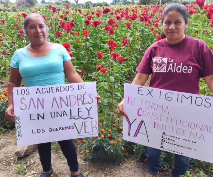 Piden a AMLO incluir reforma a favor de los pueblos indígenas