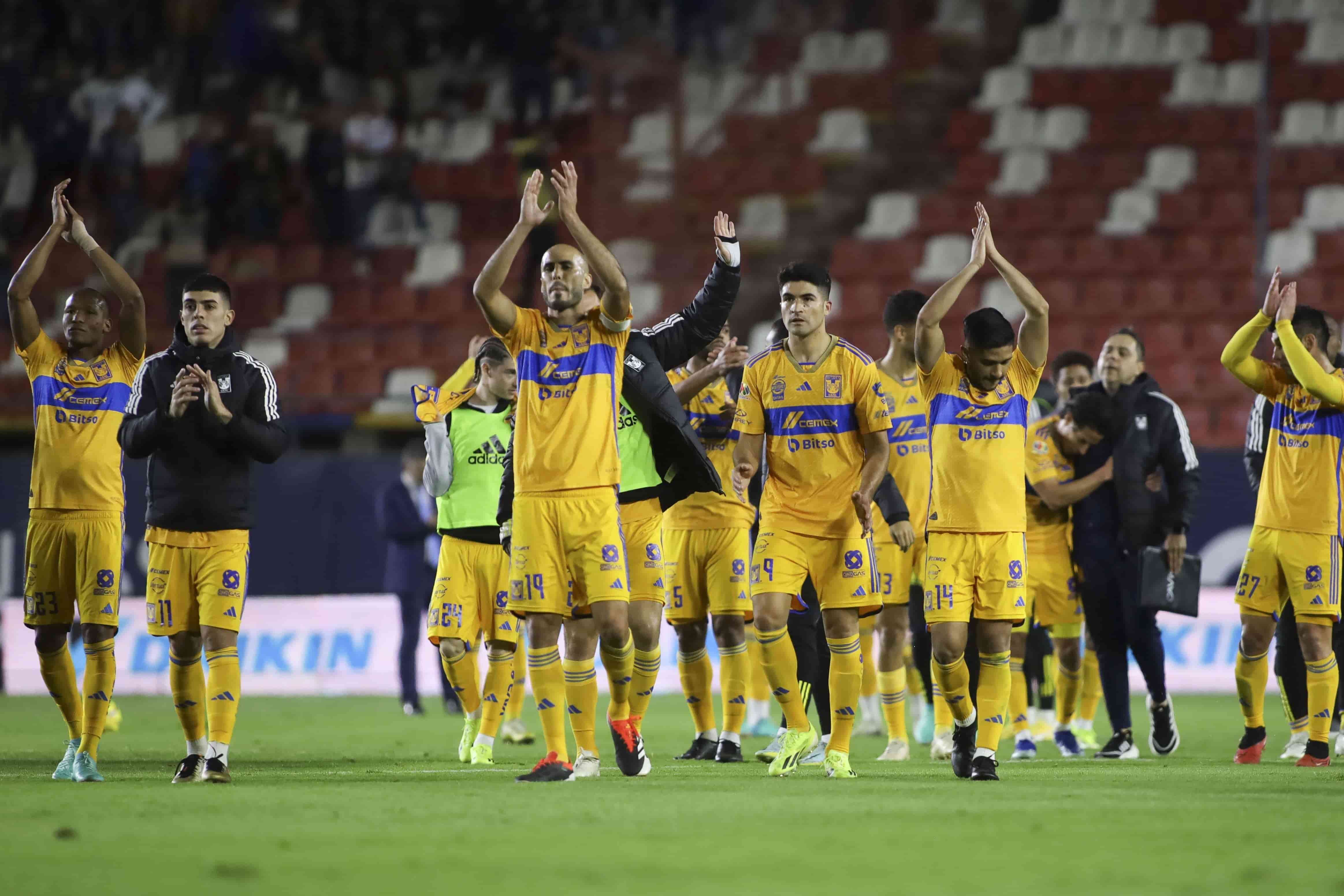 Felinos ganan de visita.
