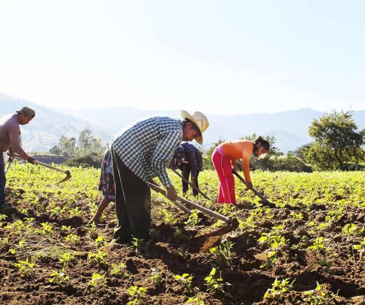 Incrementa estimación de población rural: Cepal