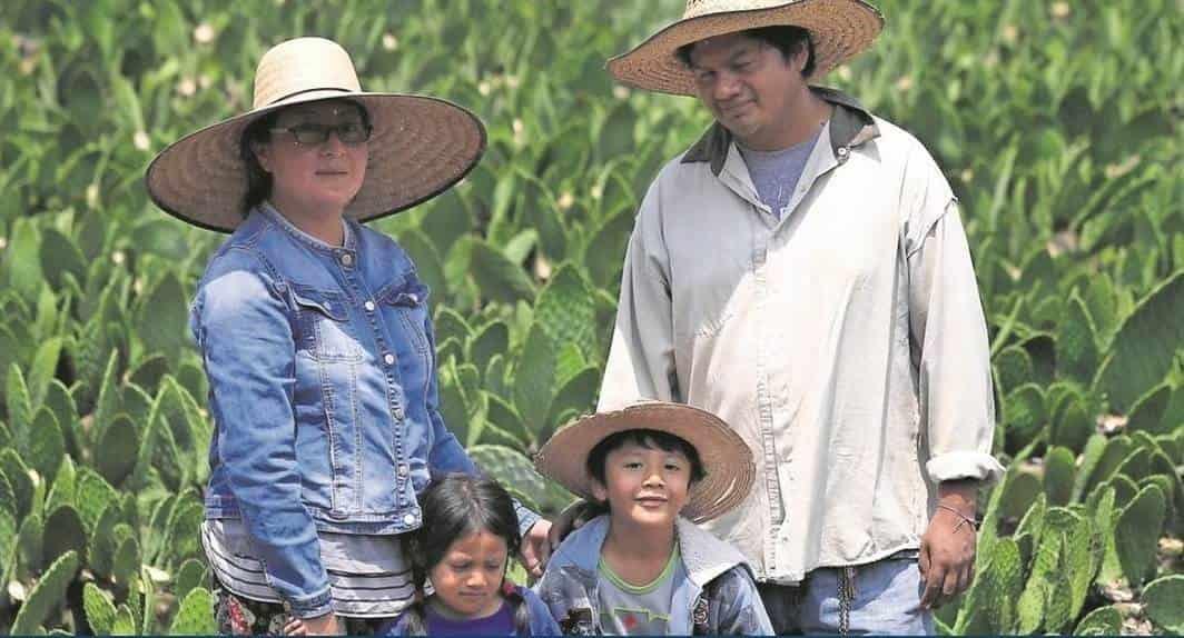 Población rural de México, mayor a la estimada: Cepal