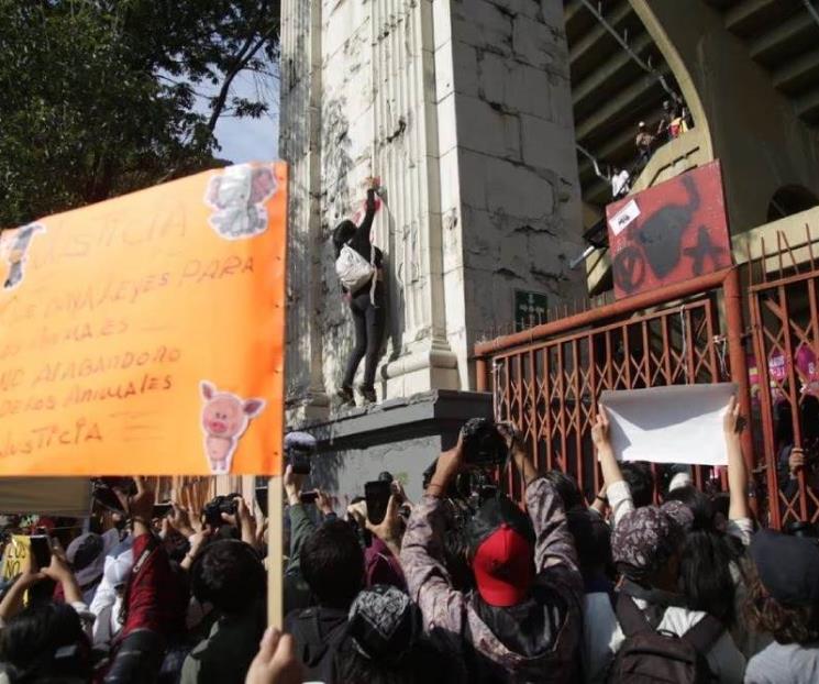 Protestan contra las corridas de toro afuera de la Plaza México