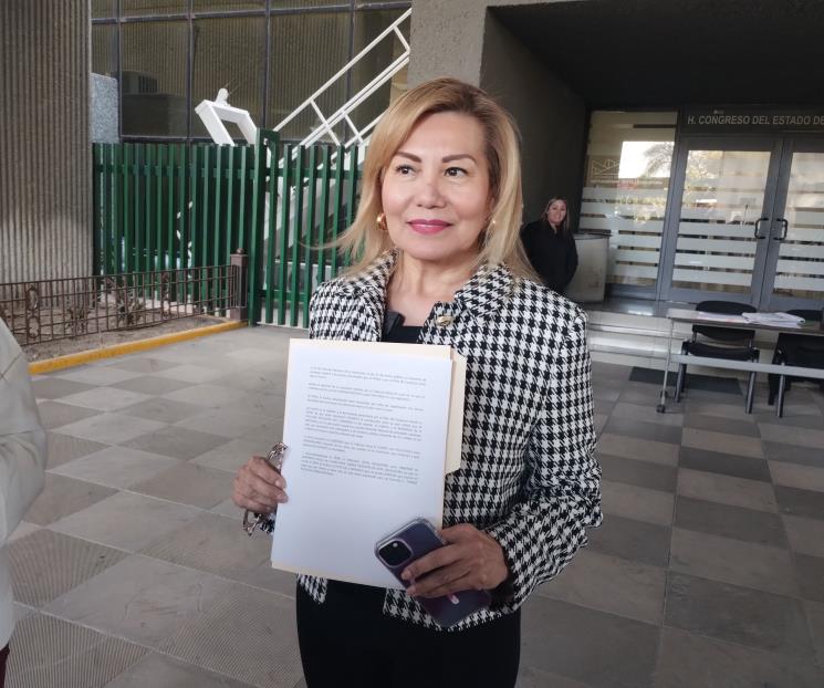 Avala TEPJF se tome a Rosaura Guerra como diputada de MC Avala TEPJF se tome a Rosaura Guerra como diputada de MC