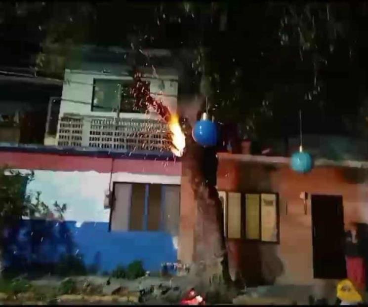 Alarma incendio de árbol