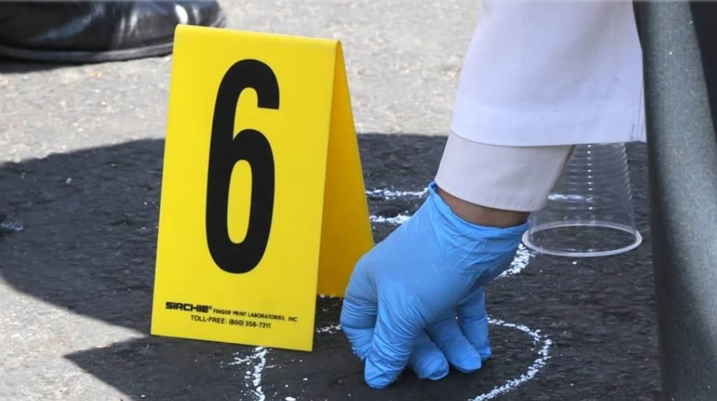 Al menos 68 personas fueron asesinadas al día en enero pasado: SSPC