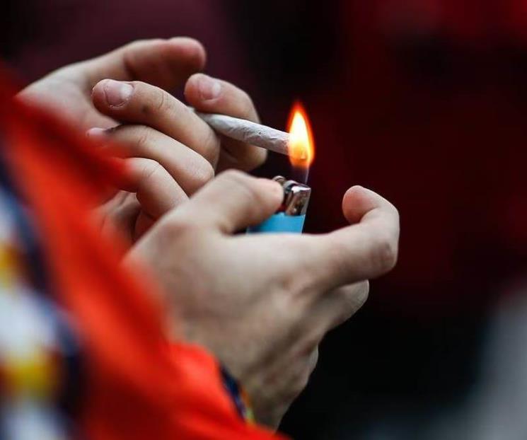 Plantea Senado discutir regulación de cannabis
