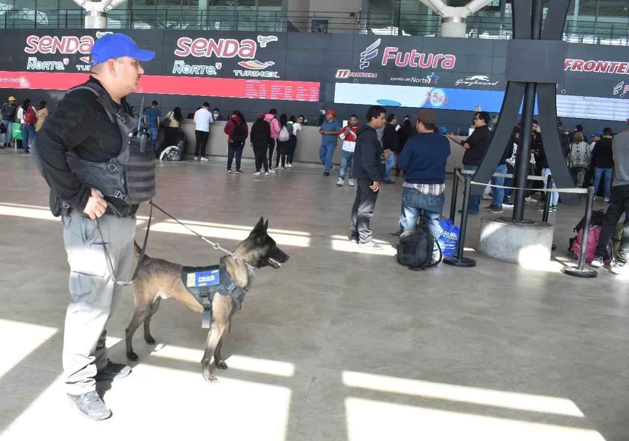Integrantes de la Guardia Nacional aseguraron, 13 kilos de droga sintética cristal, que un grupo de la delincuencia organizada dejo abandonada en una terminal camionera de esta ciudad.