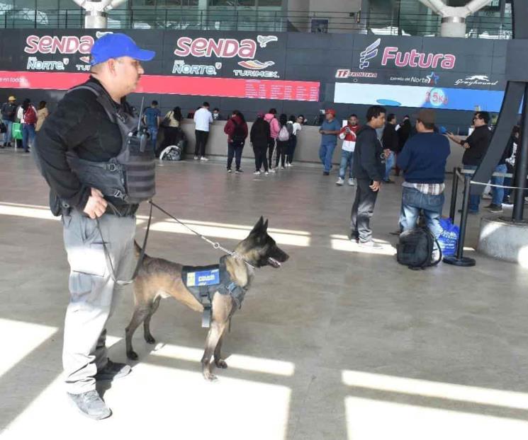 Abandonan maleta con droga en la Central