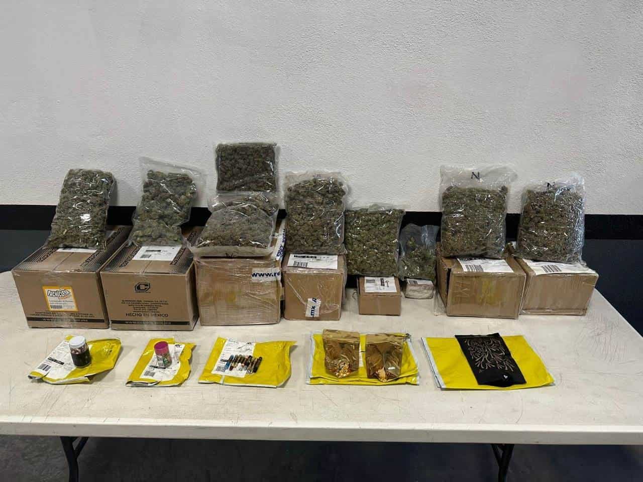 Un elemento del Binomio Canino de la Guardia Nacional, dio un golpe contuso a la delincuencia organizada, al detectar la presencia de 13 envíos de droga, en una empresa de paquetería ubicada en el municipio de Guadalupe.