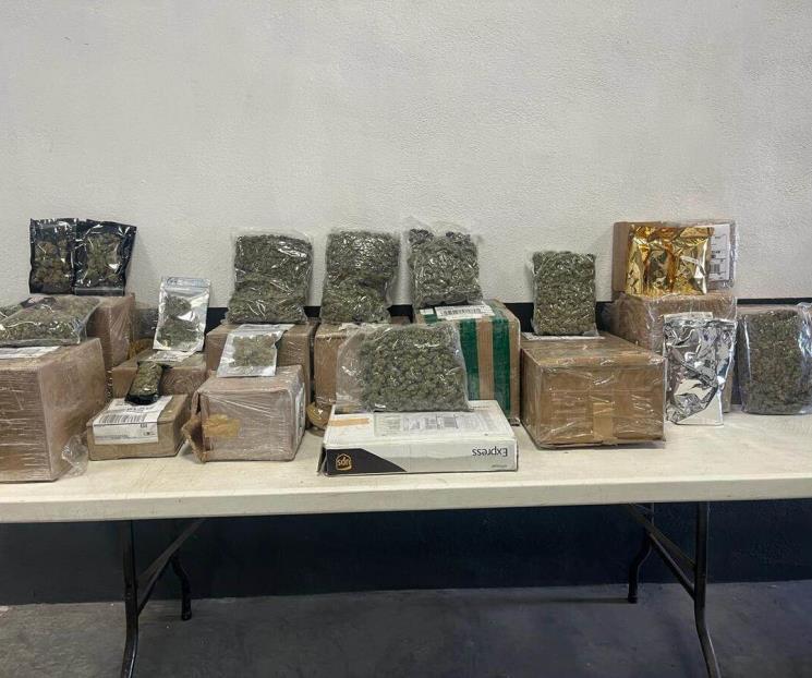 Decomisan 14 paquetes de droga