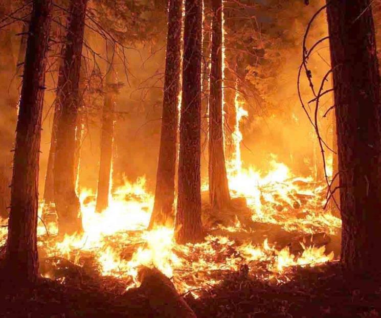 Se adelanta la temporada de incendios