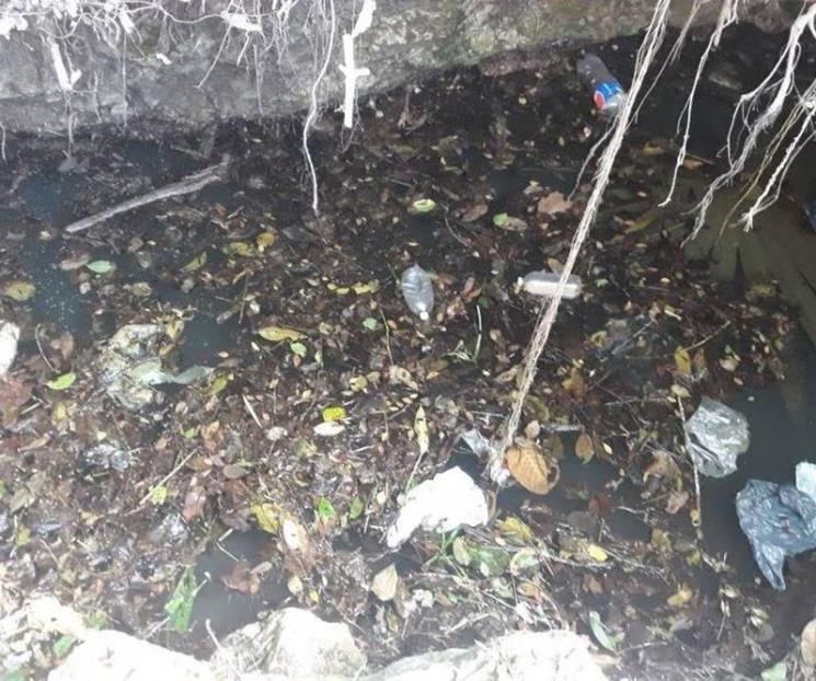 Retienen a activistas con evidencia de daño ambiental del Tren Maya