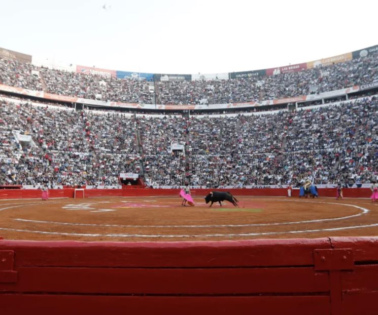 Juez niega suspensión definitiva y seguirán las corridas de toros Juez niega suspensión definitiva y seguirán las corridas de toros
