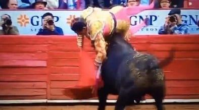 Sufre el torero Héctor Gutiérrez cornada en la Plaza México