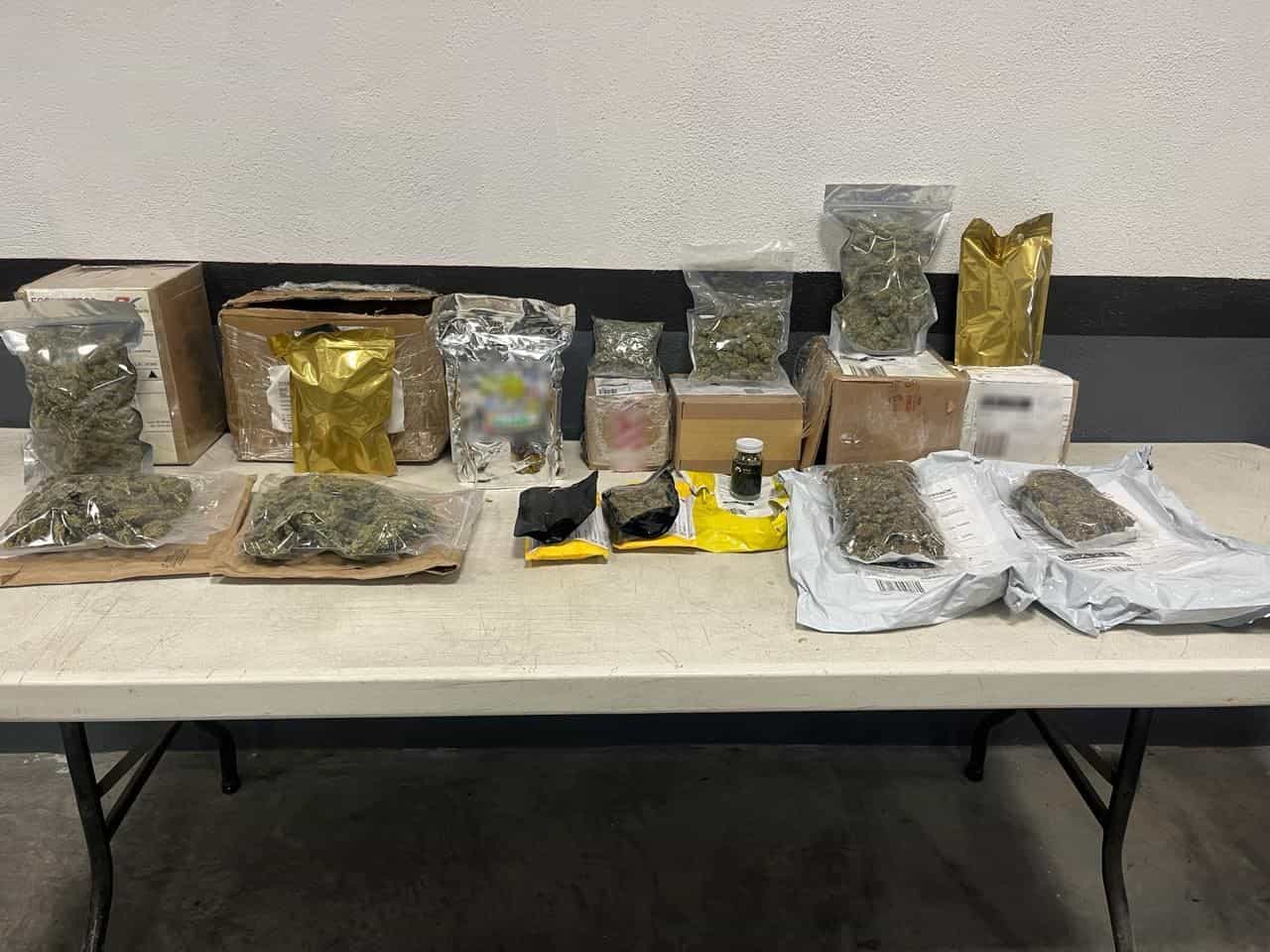 Elementos de los llamado binomios caninos de la Guardia Nacional, localizaron 16 envíos de mensajería con aparente marihuana, los cuales pretendían ser enviados a los estados de Coahuila, Chihuahua, Durango y Tamaulipas.