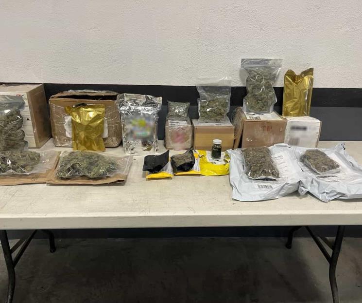 Descubren droga en empresas de paquetería