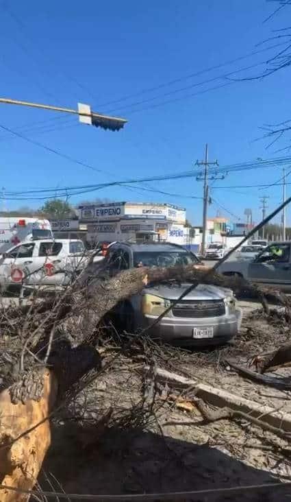 Aplasta árbol camioneta
