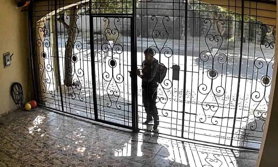 En el momento en que trepaba un árbol para brincar la barda de una casa, un joven fue detenido por oficiales de la Policía de Monterrey, luego de que le encontraron seis envoltorios con una sustancia sólida similar a la cocaína en piedra, en la colonia Jardín Español, y se le investiga por el robo de bicicletas.