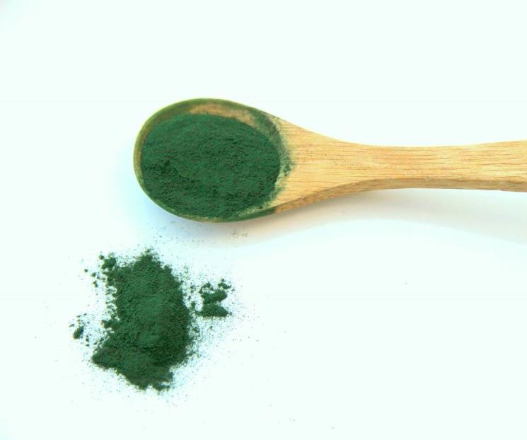 La espirulina, ideal para incrementar la masa muscular