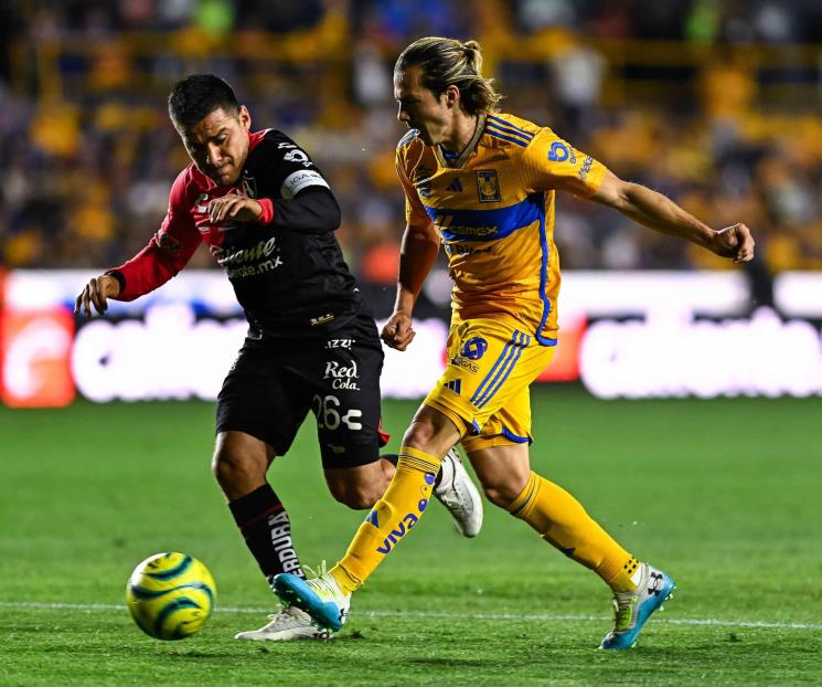 Aceptan en Tigres falta de funcionamiento