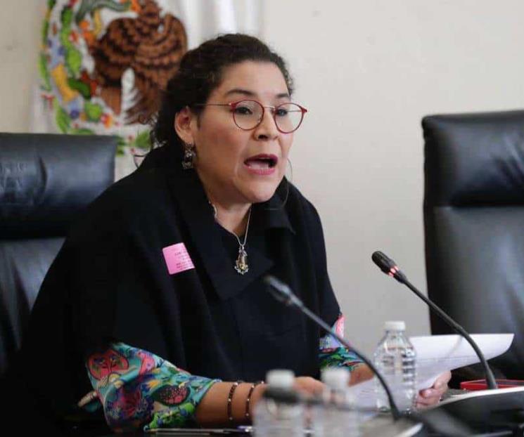 Actividades de ministra fueron espiadas por la DFS