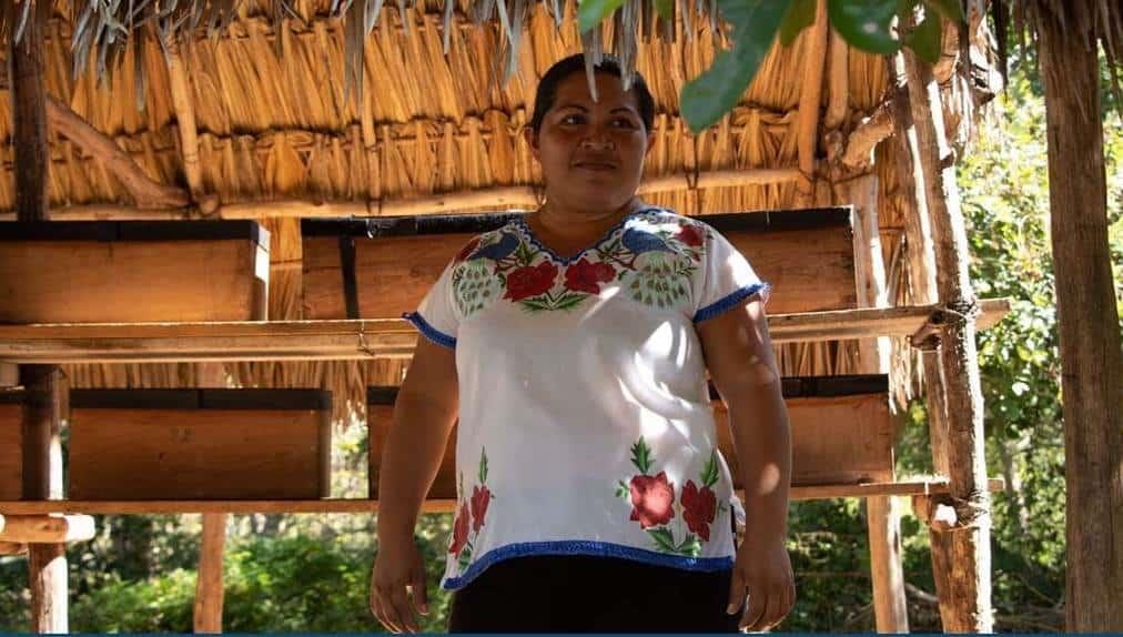 Cocineras y agricultoras mayas dignifican su trabajo