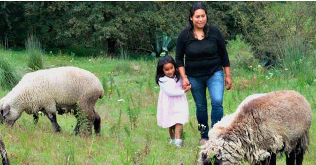 Avanza reforma en igualdad de género de mujeres ganaderas