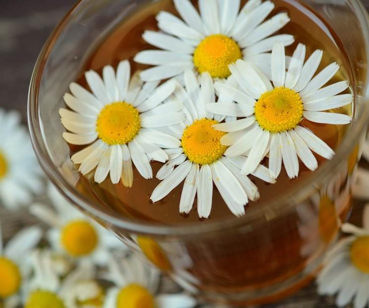 Para qué sirve tomar té de manzanilla