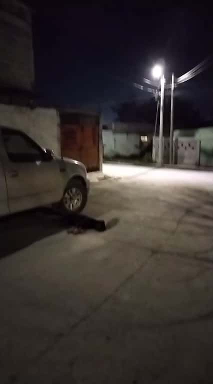 Un presunto distribuidor de drogas es buscado por elementos de la Agencia Estatal de Investigaciones, luego de ser acusado de crueldad animal, al asesinar a un perro Bull Dog con una varilla.