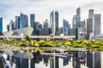 Según la ciencia, Singapur es el mejor país del mundo