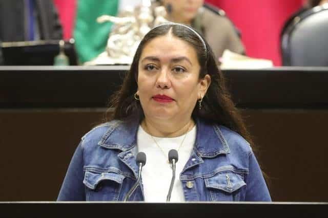Piden asegurar a INE dinero para consultas
