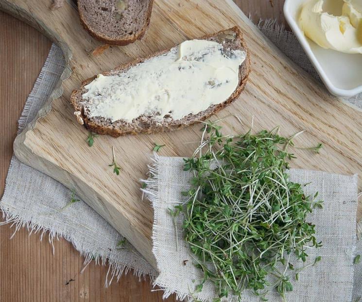 Berros, el alimento más sano del mundo, según estudio