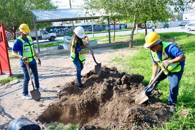 Aseguran reunir fondo de 120 millones para reforestación masiva