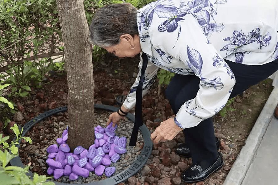 Plasman en árbol recuerdo de profesora Luz María Velazquez del Tec