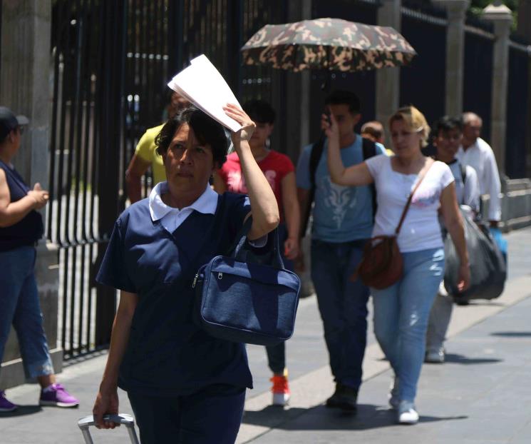 Altas temperaturas en ambiente favorecen diseminación de bacterias