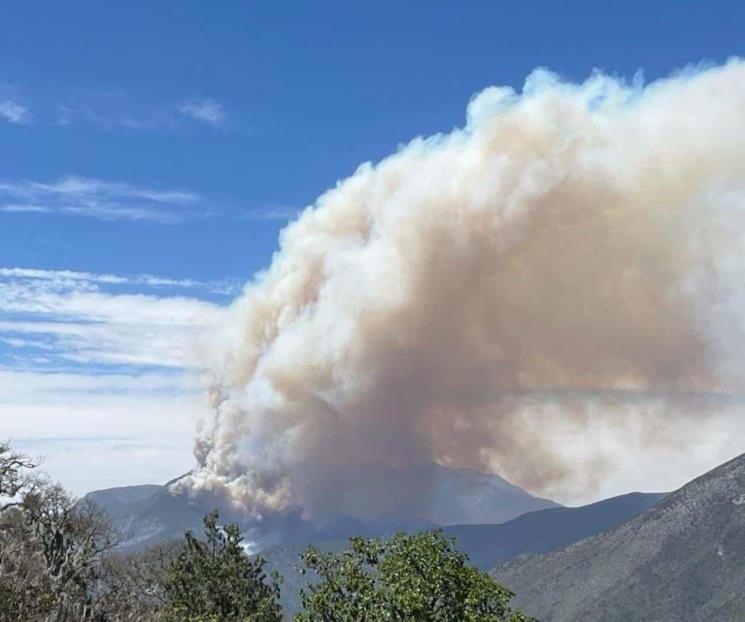Reportan incendio forestal  de gran magnitud en Zaragoza