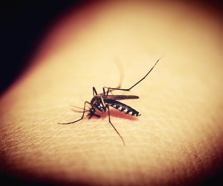 Detectan primer caso de malaria en migrante venezolana en Coahuila