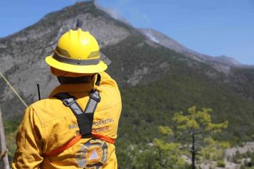 Continúa incendio forestal en Zaragoza.
