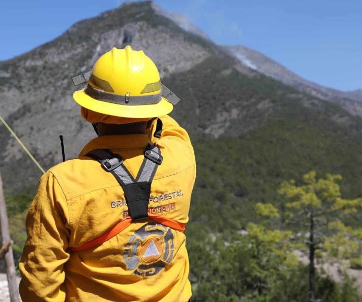 Continúa incendio forestal en Zaragoza. Continúa incendio forestal en Zaragoza.