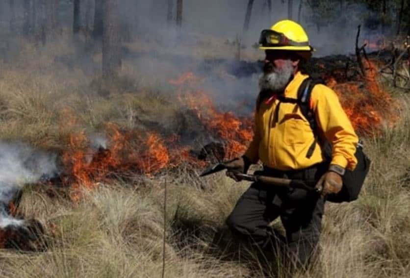 Continúan 113 incendios forestales activos en 20 estados: Conafor