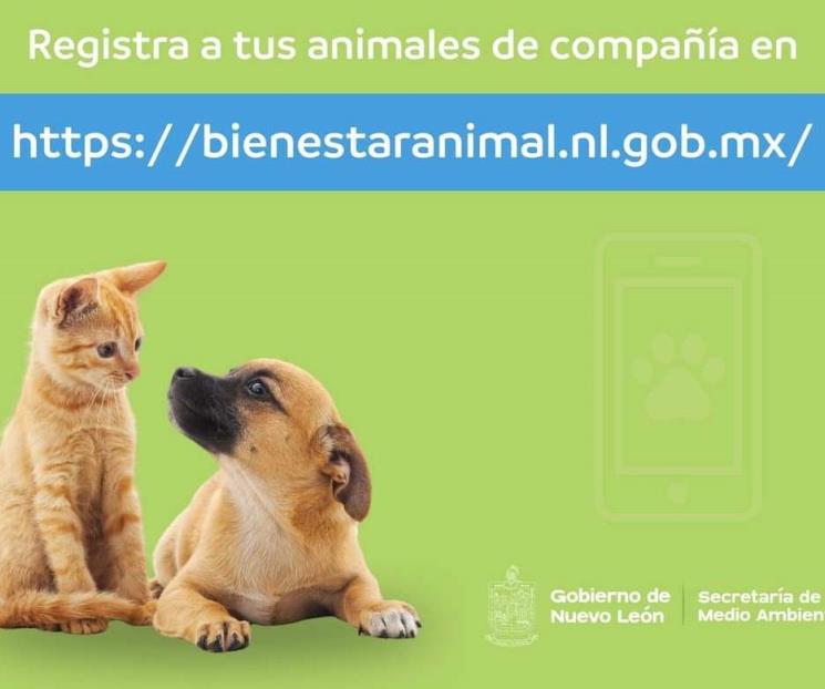 Llaman a registrar animales de compañía