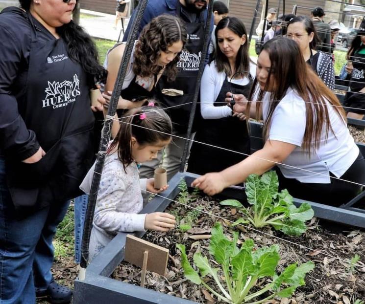 Inicia San Pedro su Programa de Reforestación 2024