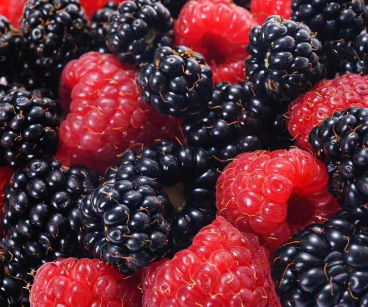 La zarzamora contribuye a generación de colágeno y es anticoagulante