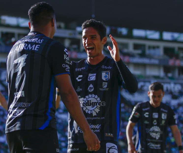Gallos cantan en León