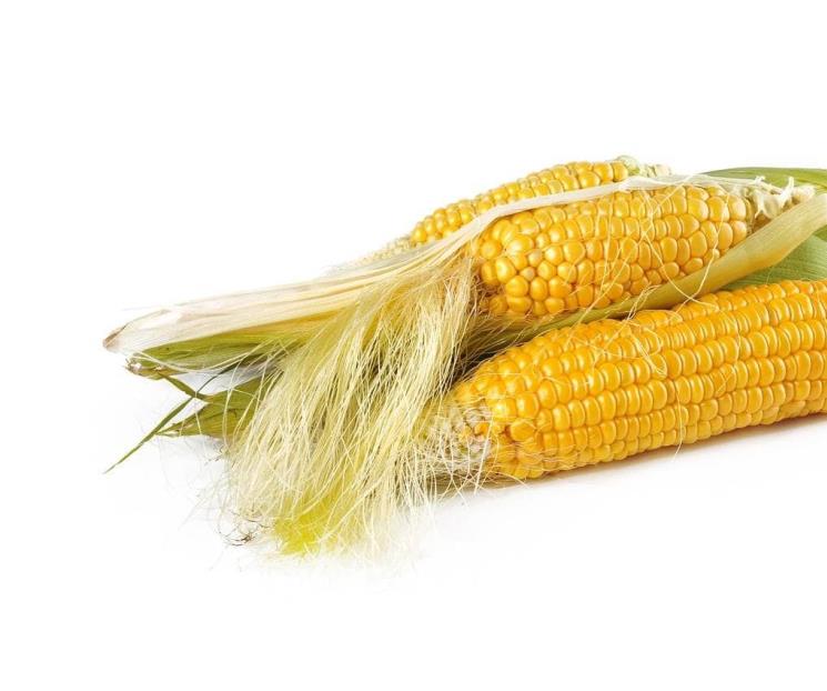 Cuáles son las propiedades curativas del agua de pelo de elote